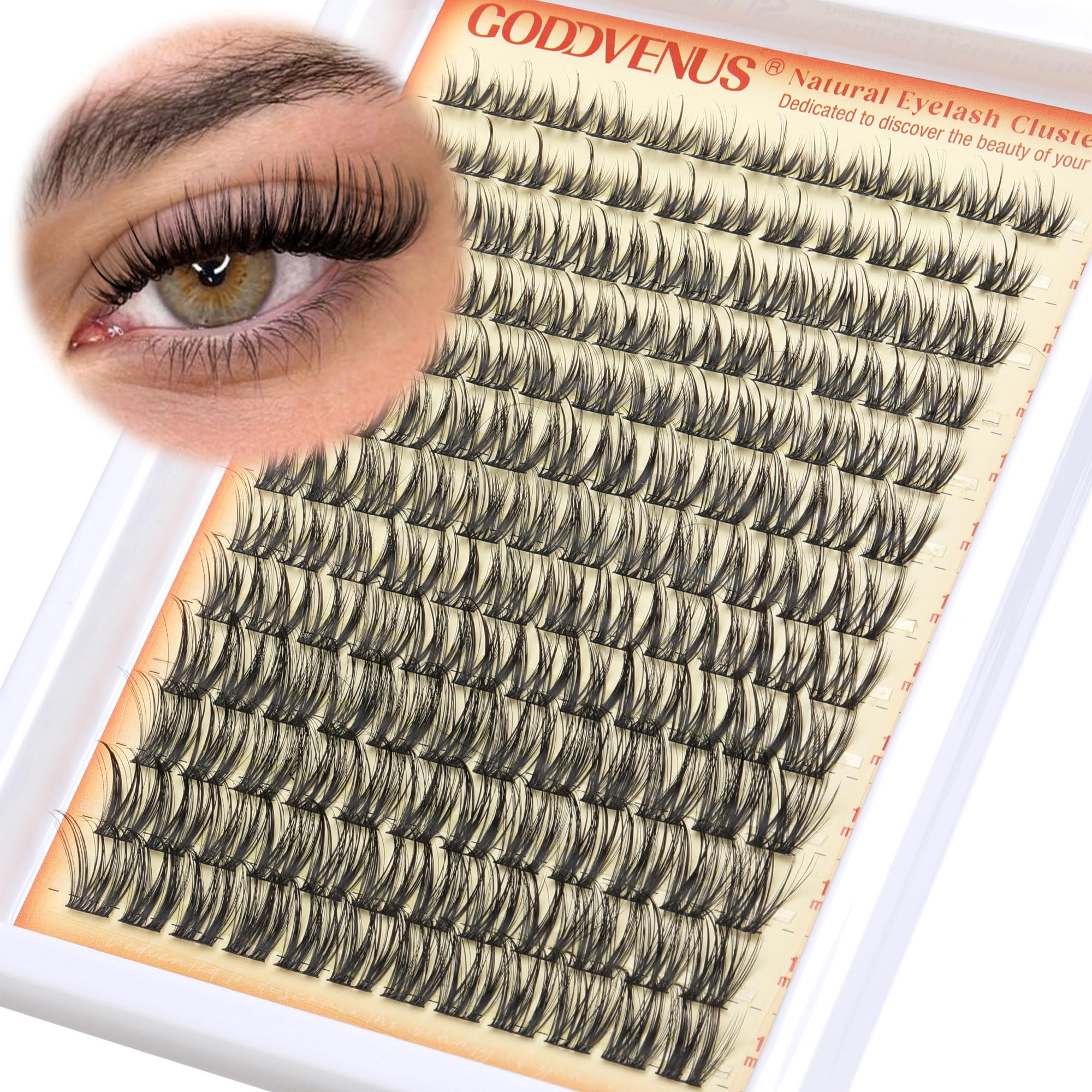 250Pcs Natural Lash Clusters Kit Cluster Eyelash Extensions Kit Wispy DIY C Curl Individual Lashes Clusters With Bottom Eyelashes